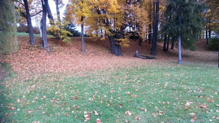 IMG_20171013_092616.jpg