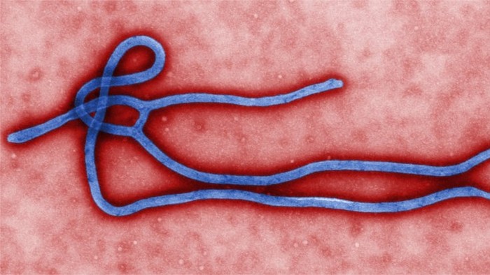 ¿Hay todavía razones para temerle al ébola?