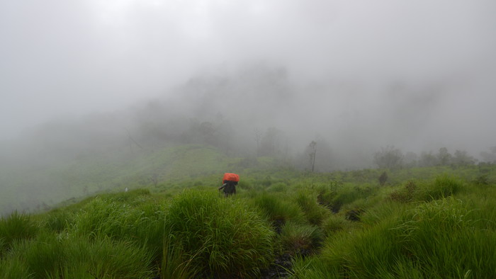 Mt. Cameroon 1.JPG