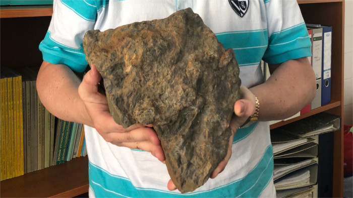 Neue Spuren von Dinosauriern in der Hohen Tatra