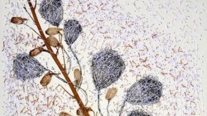 Herbarium Miry Podmanickej