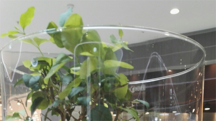 «Живые миры» Алекса Зелины