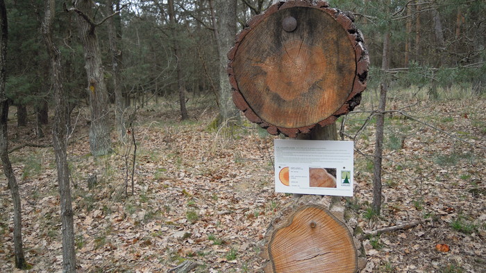 Snímka 3.JPG