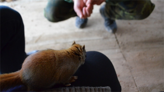 Zoo Kontakt Liptovsky Mikulas 5_Katrin Litschko.JPG