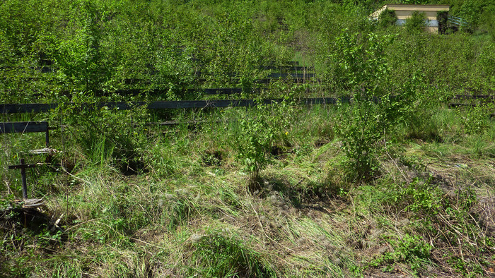 P1100763.JPG