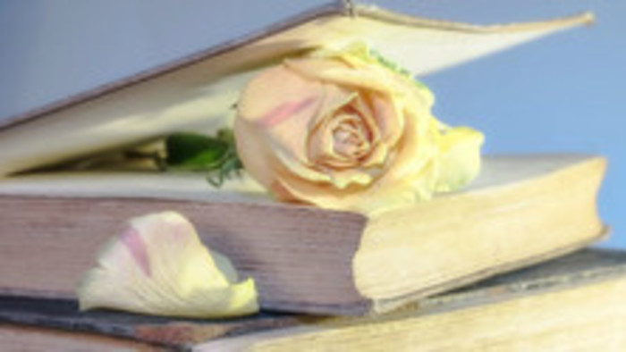Vianoce poetiek