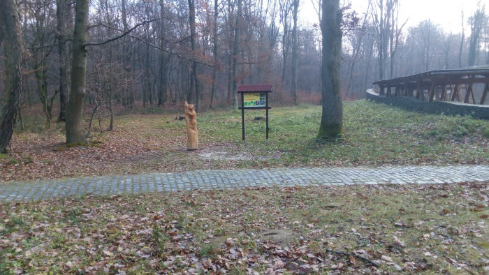 05.jpg