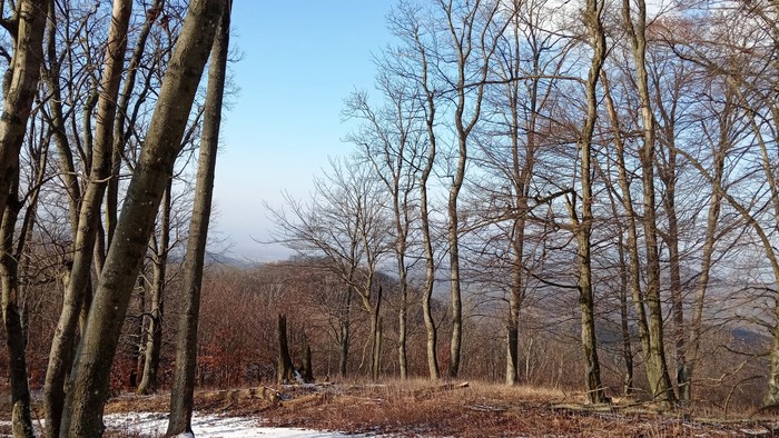 IMG_20200120_122505.jpg