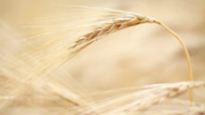 Alergény v potravinách - 1. časť