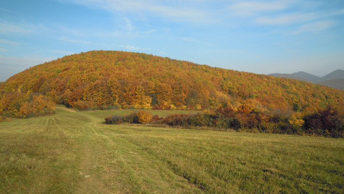 Rádiovíkend 5.11.2016 – pozvánky