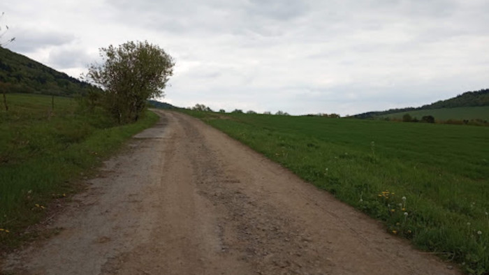 IMG_20190508_145335.jpg