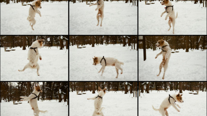 Užitočné fotografie nájdete na 2. a 3. poschodí v SNG