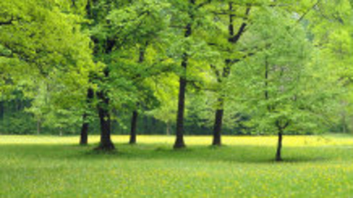 Park v Sládkovičove