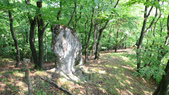 skala na Smrekovci foto Radoslav Sadecky (35).jpg