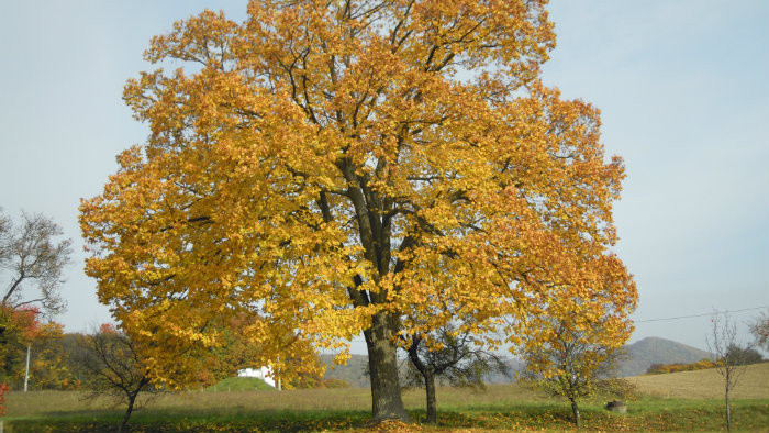 Rádiovíkend 19.11.2016 – pozvánky