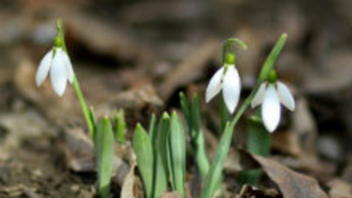 Rádiovíkend 2. 3. 2019 - pozvánky