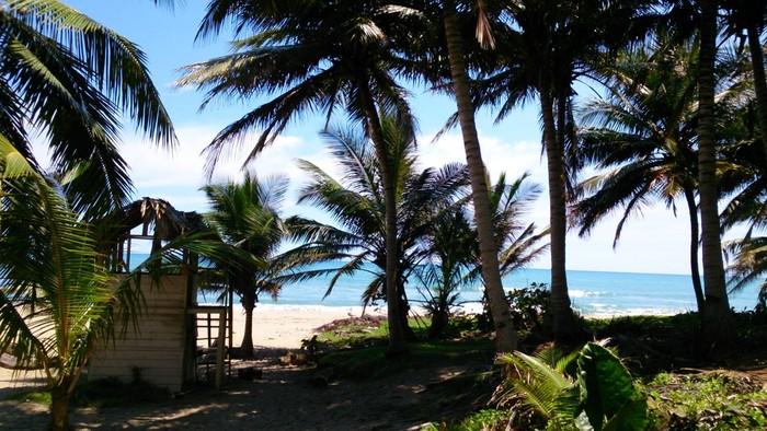 Cabarete 1.JPG