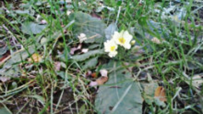 Rádiovíkend 11.4.2015 – pozvánky