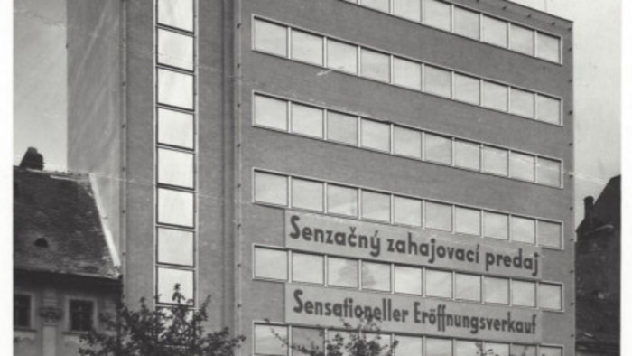 ludwig3.jpg