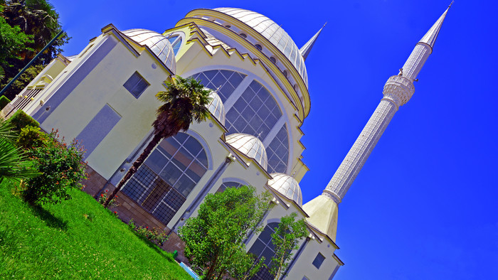 DSC_4402_ps.jpg