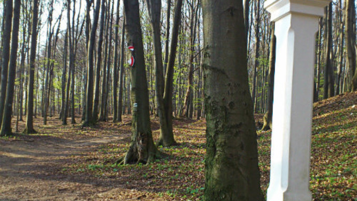 DSC_0037.jpg