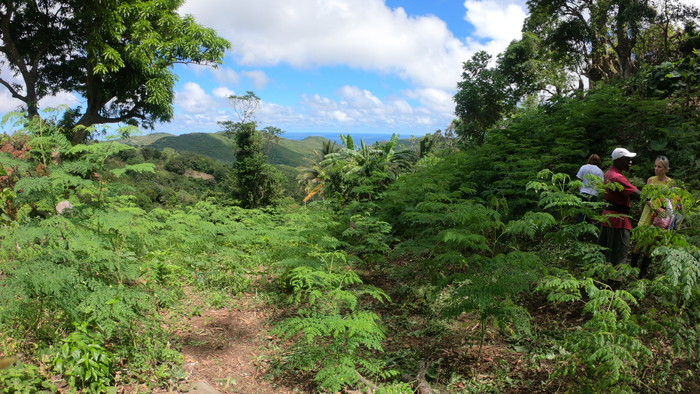 GOPR3621 2.JPG