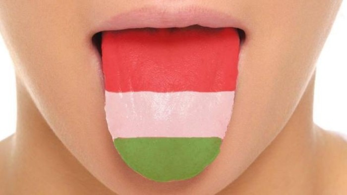 Jaffás és Kofolás a Hangadóban