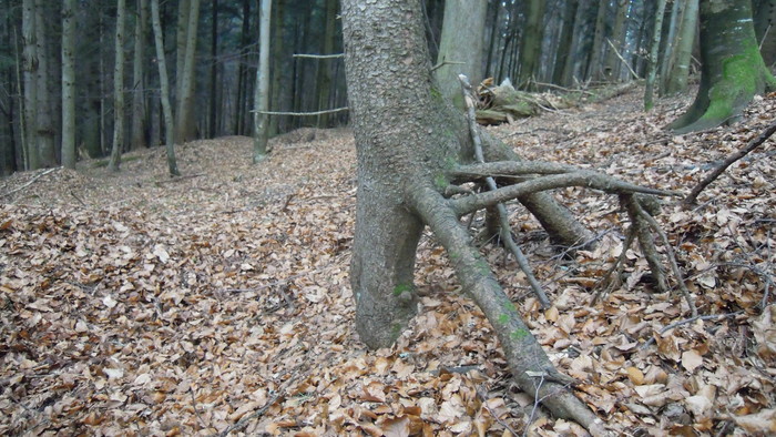 Snímka 9.JPG