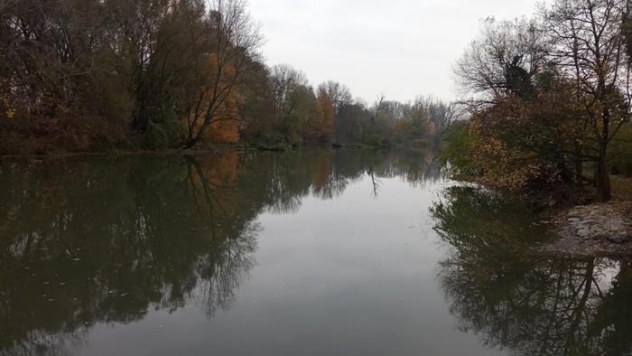 IMG_20191115_150320.jpg