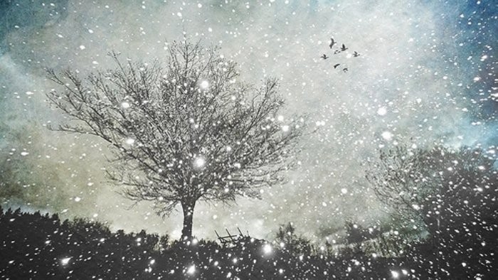 Rádio Regina u Vás