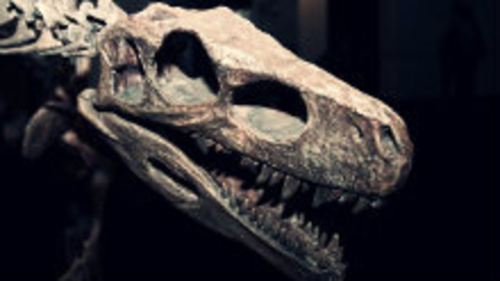 Aj na našom území žili dinosaury