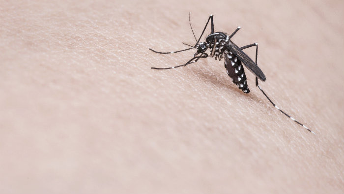 K veci: Vírus Zika a letné OH v Brazílii...