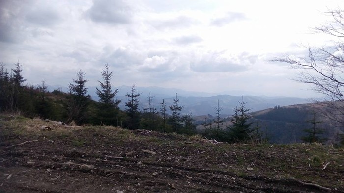 06.jpg