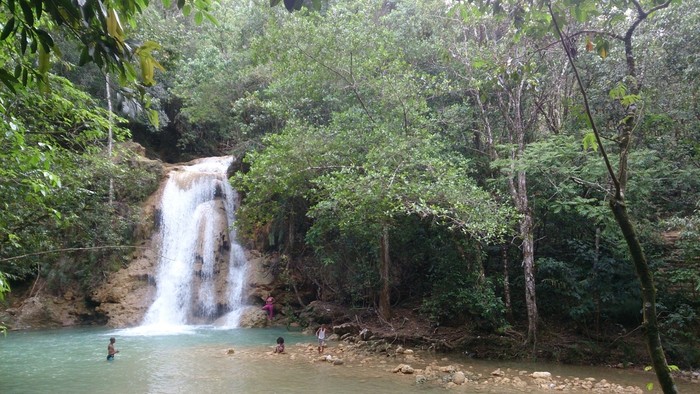 Jungla 1.JPG