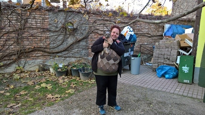 domec2_kay zeisberg.jpg