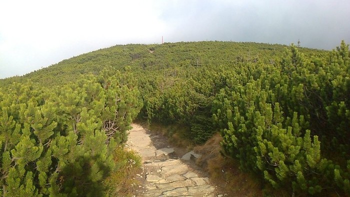 003-Babia hora