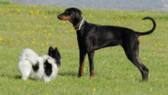 Glosa: Veľkosti vnímame subjetívne 