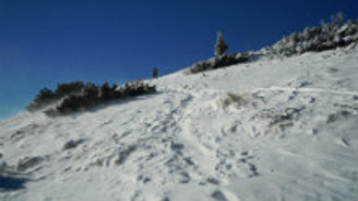 Rádiovíkend 28.3.2015 – pozvánky