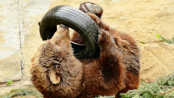 30. narodeniny ZOO v Spišskej Novej Vsi