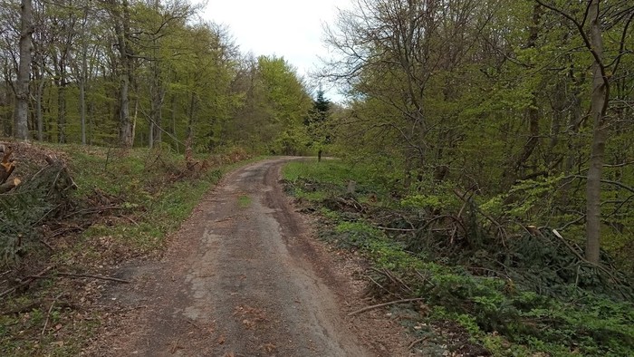 IMG_20190508_155657.jpg