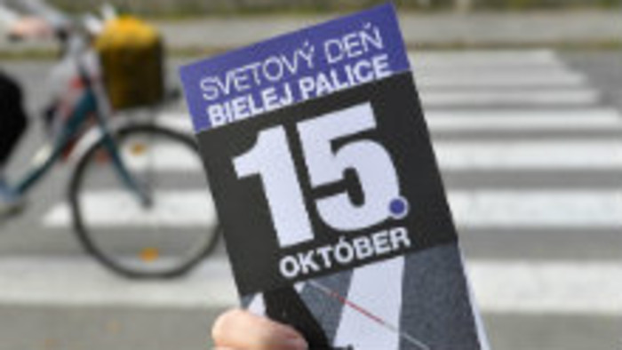 Deň bielej palice