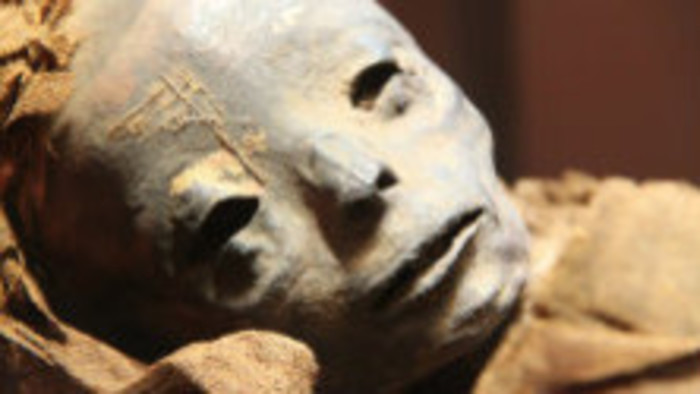 Ako egyptská hlava putovala z kabinetu do múzea