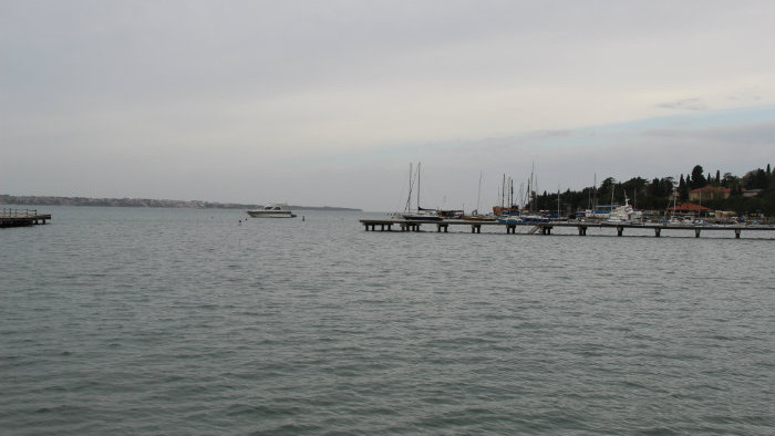 IMG_0704.JPG