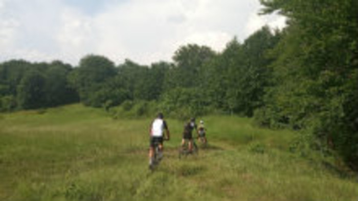 Leto na bicykli