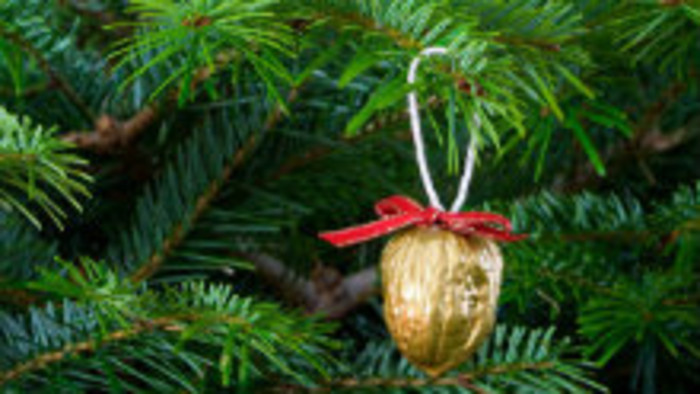 Kupujeme vianočný stromček