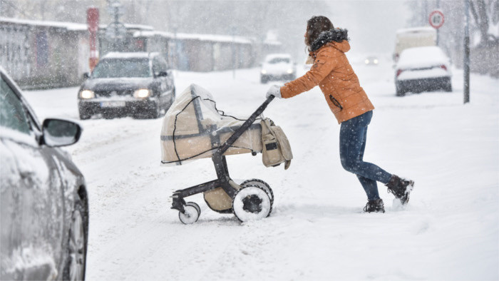 snow sneh kalamita bratislava kocik zima winter pocasie_tasr.jpg