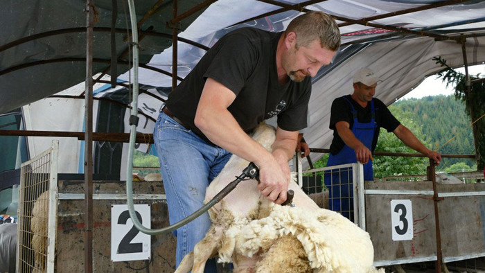 Bačovské pastorále