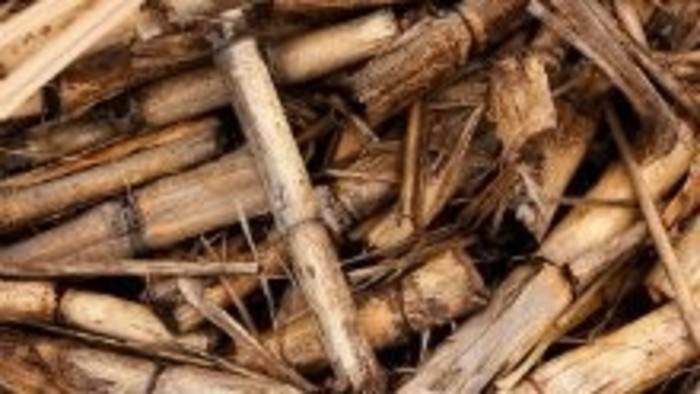 Seriál týždňa – avízo