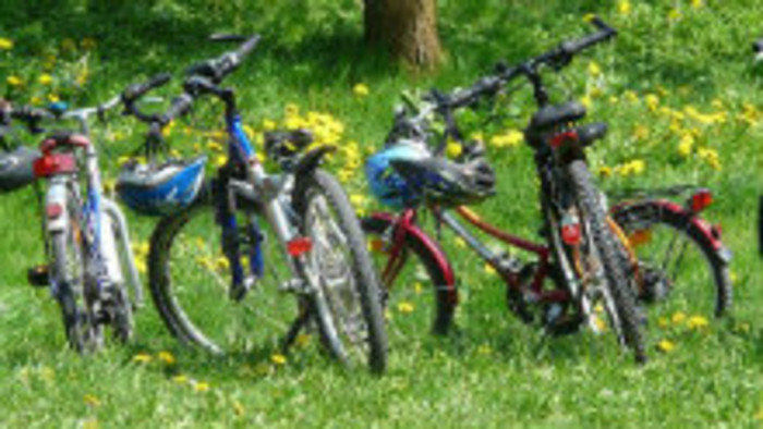 Seniori na bicykloch 