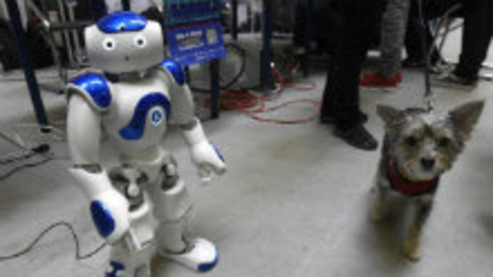 Akým hlasom sa nám roboty prihovárajú? 